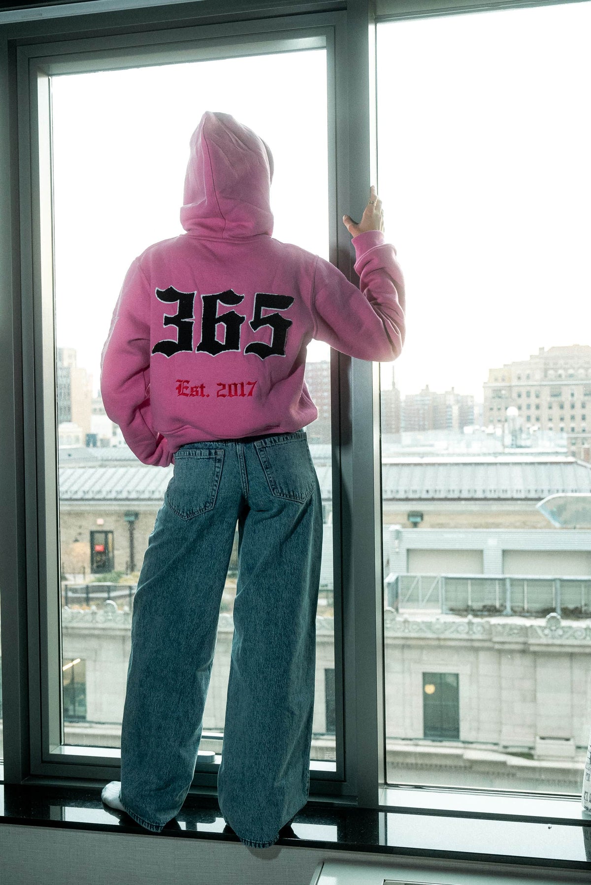 Academy Cropped Hoodie Pink